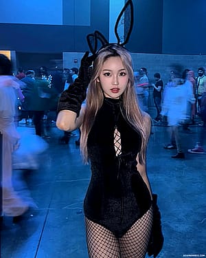 Blonde asian bunny